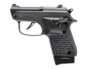 20X BOBCAT 22LR BLK/SILVER