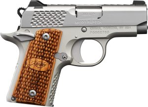 MICRO RAPTOR 380ACP 2.75" SS #