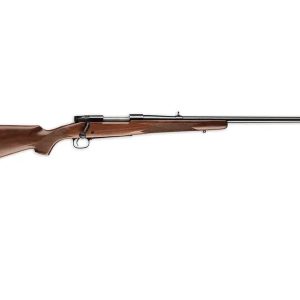 WALNUT STOCK