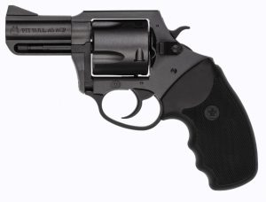 MAG PUG 357M NITRIDE 5RD 2.2"
