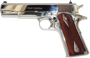 GOVERNMENT 38SPR POLISH SS 5"