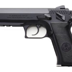 (2) 10RD MAGAZINES|CARRY CASE