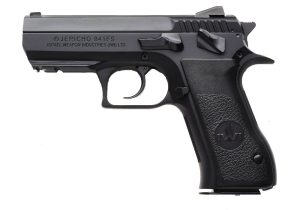 (2) 10RD MAGAZINES|CARRY CASE