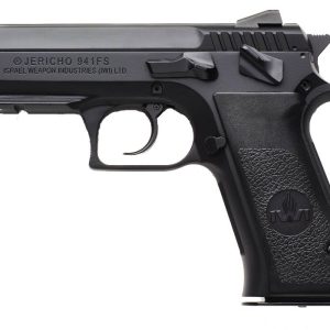 (2) 10RD MAGAZINES|CARRY CASE