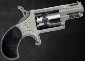 NAA-22LR-TW