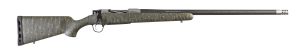 CA10299-H14213