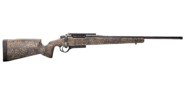 DESERT SHADOW STOCK