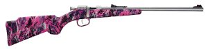 WILLIAMS FIRE FO SIGHTS