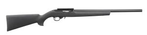 31222 | LIGHT VARMINT TARGET