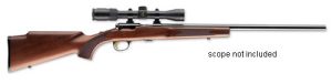 STRAIGHT PULL BOLT ACTION 10+1