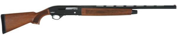 CMPCT MODEL