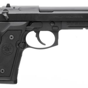 ACCESSORY RAIL | (2) 10RD MAGS