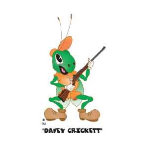 CRICKETT 22LR BL/GRY