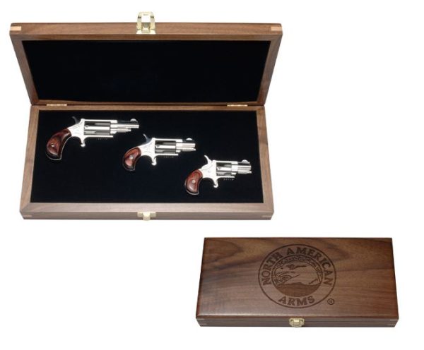 22SHORT/22LR/22MAG|INCL CASE