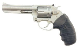 CHARTER PATHFINDER 22LR SS 4"#